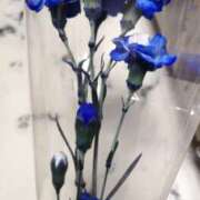 ヒメ日記 2025/10/27 13:23 投稿 尽（つくし） やみつきの館　鶯谷店