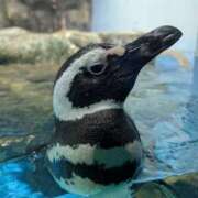 ヒメ日記 2025/10/28 13:55 投稿 尽（つくし） やみつきの館　鶯谷店