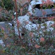 ヒメ日記 2026/01/13 16:28 投稿 尽（つくし） やみつきの館　鶯谷店