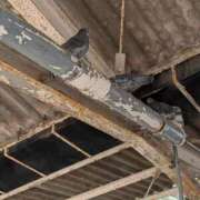 ヒメ日記 2026/02/10 15:37 投稿 尽（つくし） やみつきの館　鶯谷店