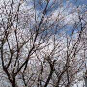 ヒメ日記 2026/03/31 17:55 投稿 尽（つくし） やみつきの館　鶯谷店