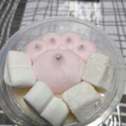 ヒメ日記 2026/04/02 15:25 投稿 尽（つくし） やみつきの館　鶯谷店