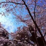 ヒメ日記 2026/04/09 13:24 投稿 尽（つくし） やみつきの館　鶯谷店