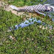 尽（つくし） こんにちは💞 やみつきの館　鶯谷店