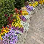 花菜(かな) ⚠️ 人妻城 横浜本店