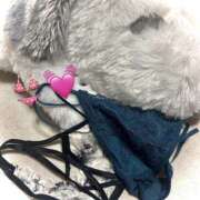 ヒメ日記 2025/01/04 19:21 投稿 二葉ゆあ 乳ビーナス(New Venus)