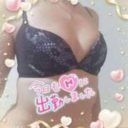 ヒメ日記 2025/02/17 10:00 投稿 山葉（やまのは） 熟女の風俗最終章 名古屋店