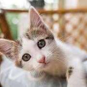 ヒメ日記 2025/04/10 21:27 投稿 山葉（やまのは） 熟女の風俗最終章 名古屋店