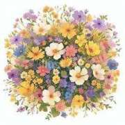 ヒメ日記 2025/06/29 06:22 投稿 山葉（やまのは） 熟女の風俗最終章 名古屋店