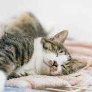 ヒメ日記 2025/07/07 00:12 投稿 山葉（やまのは） 熟女の風俗最終章 名古屋店