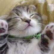 ヒメ日記 2025/07/20 03:42 投稿 山葉（やまのは） 熟女の風俗最終章 名古屋店