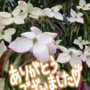 ヒメ日記 2025/07/21 07:40 投稿 山葉（やまのは） 熟女の風俗最終章 名古屋店