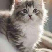 ヒメ日記 2025/07/28 02:22 投稿 山葉（やまのは） 熟女の風俗最終章 名古屋店