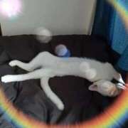 ヒメ日記 2025/10/05 01:02 投稿 山葉（やまのは） 熟女の風俗最終章 名古屋店