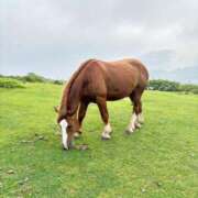 ヒメ日記 2026/01/02 12:30 投稿 すず Garter Princess＆Mrs（ガータープリンセス＆ミセス）