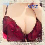 ヒメ日記 2025/03/11 11:26 投稿 なぎさ先生 渋谷   大人の幼稚園