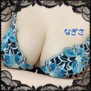 ヒメ日記 2025/04/01 11:17 投稿 なぎさ先生 渋谷   大人の幼稚園