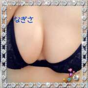 ヒメ日記 2025/06/04 11:27 投稿 なぎさ先生 渋谷   大人の幼稚園