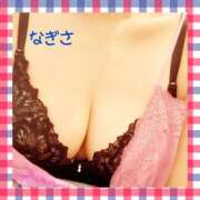 ヒメ日記 2025/07/17 11:27 投稿 なぎさ先生 渋谷   大人の幼稚園