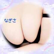 ヒメ日記 2025/08/29 11:27 投稿 なぎさ先生 渋谷   大人の幼稚園