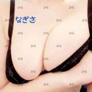 ヒメ日記 2025/11/28 11:31 投稿 なぎさ先生 渋谷   大人の幼稚園