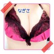 ヒメ日記 2025/12/12 11:27 投稿 なぎさ先生 渋谷   大人の幼稚園