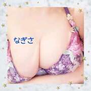 ヒメ日記 2026/03/13 11:27 投稿 なぎさ先生 渋谷   大人の幼稚園