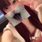 ヒメ日記 2025/01/17 20:45 投稿 しのん 川崎ソープ　クリスタル京都南町