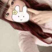 ヒメ日記 2025/04/12 11:46 投稿 しのん 川崎ソープ　クリスタル京都南町