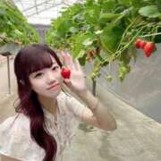 ヒメ日記 2025/05/30 13:56 投稿 しのん 川崎ソープ　クリスタル京都南町