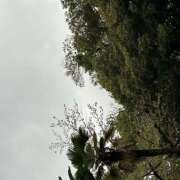 ヒメ日記 2025/04/13 16:52 投稿 知花 HERMINE-エルミネ-