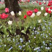 ヒメ日記 2025/04/14 10:41 投稿 知花 HERMINE-エルミネ-