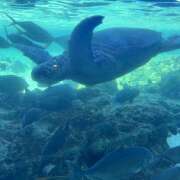 ヒメ日記 2025/04/22 20:29 投稿 知花 HERMINE-エルミネ-