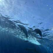 ヒメ日記 2025/04/26 05:35 投稿 知花 HERMINE-エルミネ-