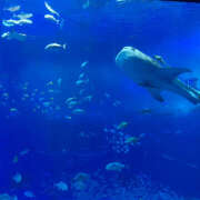 ヒメ日記 2025/04/27 16:33 投稿 知花 HERMINE-エルミネ-