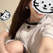 ヒメ日記 2025/04/29 08:27 投稿 知花 HERMINE-エルミネ-