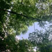 ヒメ日記 2025/04/30 05:30 投稿 知花 HERMINE-エルミネ-