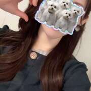 ヒメ日記 2025/05/06 11:50 投稿 知花 HERMINE-エルミネ-