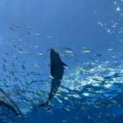 ヒメ日記 2025/05/08 04:40 投稿 知花 HERMINE-エルミネ-