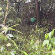 ヒメ日記 2025/05/16 23:43 投稿 知花 HERMINE-エルミネ-