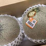 ヒメ日記 2025/05/18 21:11 投稿 知花 HERMINE-エルミネ-