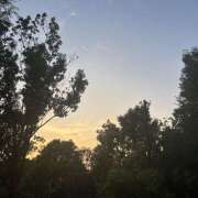 ヒメ日記 2025/06/19 18:55 投稿 知花 HERMINE-エルミネ-