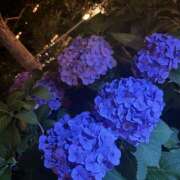 ヒメ日記 2025/06/21 04:53 投稿 知花 HERMINE-エルミネ-