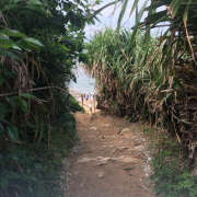 ヒメ日記 2025/07/09 08:42 投稿 知花 HERMINE-エルミネ-