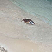 ヒメ日記 2025/08/05 08:18 投稿 知花 HERMINE-エルミネ-