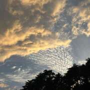 ヒメ日記 2025/08/11 23:40 投稿 知花 HERMINE-エルミネ-