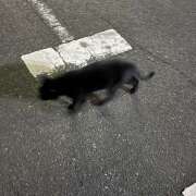 ヒメ日記 2025/08/28 23:37 投稿 知花 HERMINE-エルミネ-