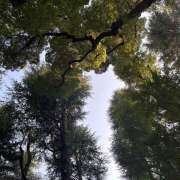 ヒメ日記 2025/09/09 23:37 投稿 知花 HERMINE-エルミネ-