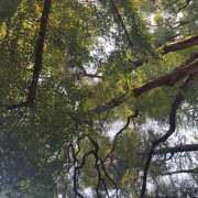 ヒメ日記 2025/09/13 08:23 投稿 知花 HERMINE-エルミネ-