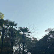 ヒメ日記 2025/09/17 08:33 投稿 知花 HERMINE-エルミネ-